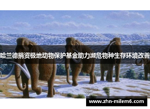 哈兰德捐资极地动物保护基金助力濒危物种生存环境改善