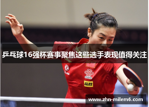 乒乓球16强杯赛事聚焦这些选手表现值得关注