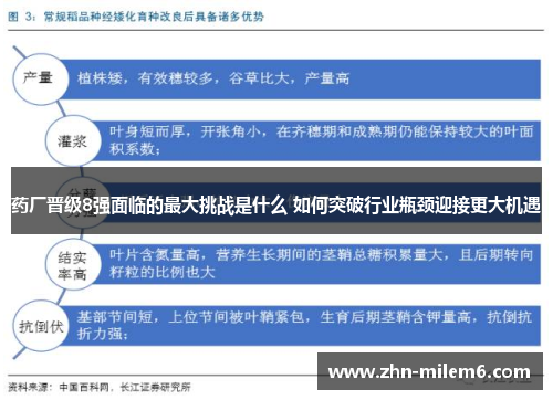 药厂晋级8强面临的最大挑战是什么 如何突破行业瓶颈迎接更大机遇