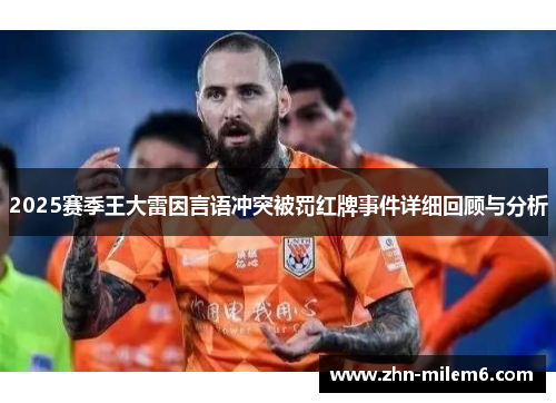 2025赛季王大雷因言语冲突被罚红牌事件详细回顾与分析
