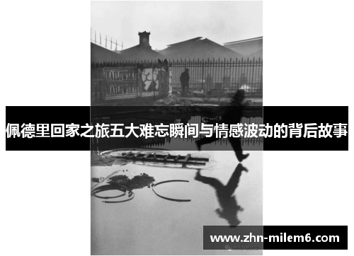 佩德里回家之旅五大难忘瞬间与情感波动的背后故事