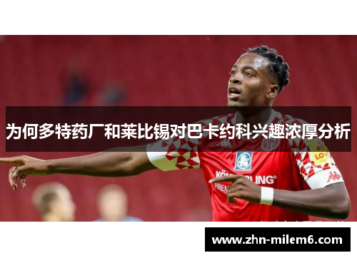 为何多特药厂和莱比锡对巴卡约科兴趣浓厚分析