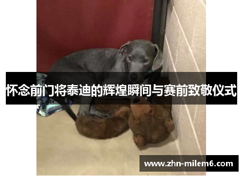 怀念前门将泰迪的辉煌瞬间与赛前致敬仪式