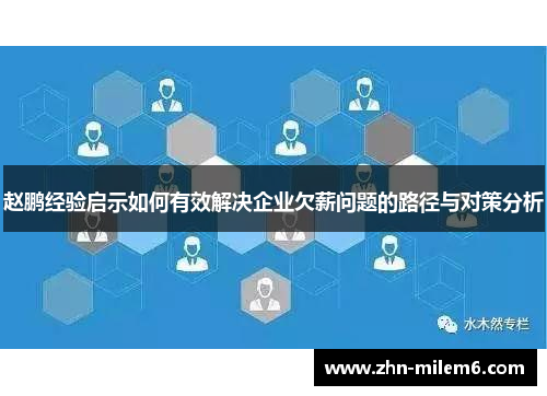 赵鹏经验启示如何有效解决企业欠薪问题的路径与对策分析