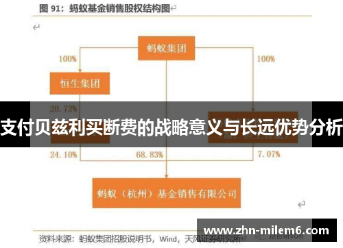 支付贝兹利买断费的战略意义与长远优势分析