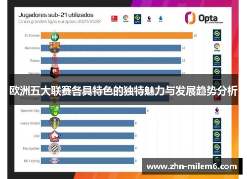 欧洲五大联赛各具特色的独特魅力与发展趋势分析