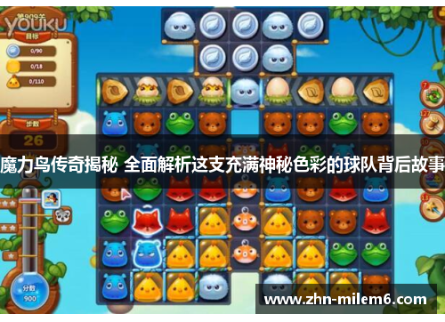 魔力鸟传奇揭秘 全面解析这支充满神秘色彩的球队背后故事