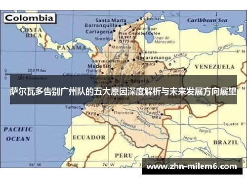 萨尔瓦多告别广州队的五大原因深度解析与未来发展方向展望