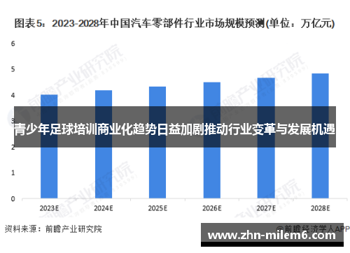青少年足球培训商业化趋势日益加剧推动行业变革与发展机遇